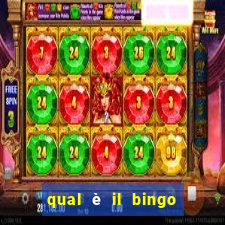 qual è il bingo più grande d'italia