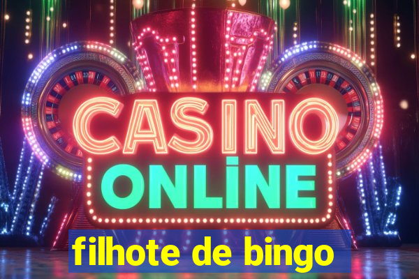 filhote de bingo