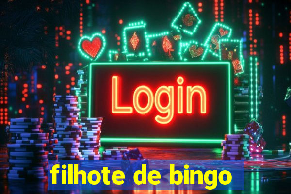 filhote de bingo