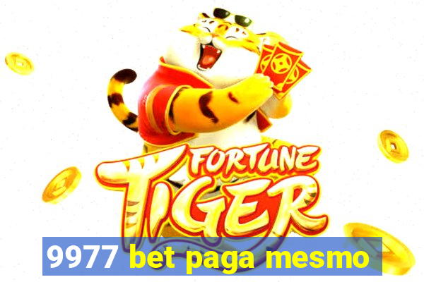 9977 bet paga mesmo