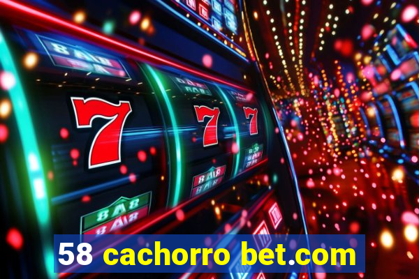 58 cachorro bet.com