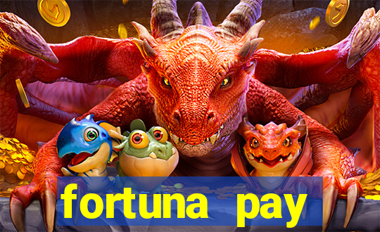 fortuna pay consultoria financeira ltda