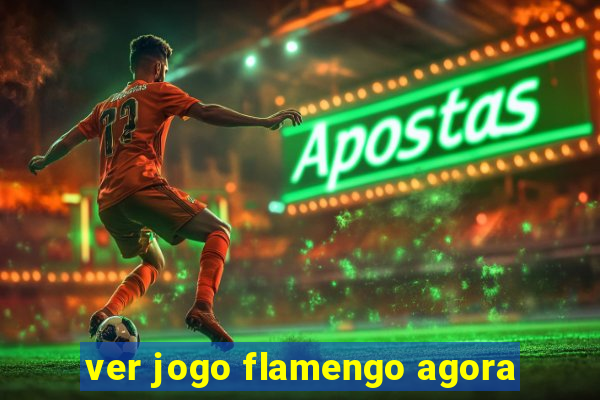 ver jogo flamengo agora