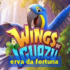 erva da fortuna