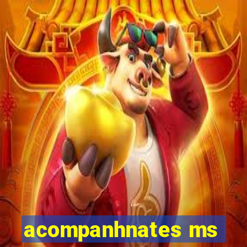 acompanhnates ms