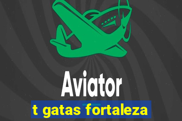 t gatas fortaleza