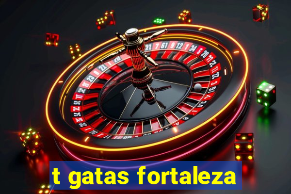 t gatas fortaleza