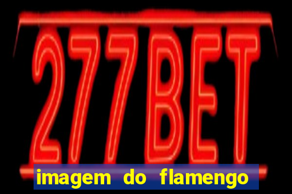 imagem do flamengo para perfil