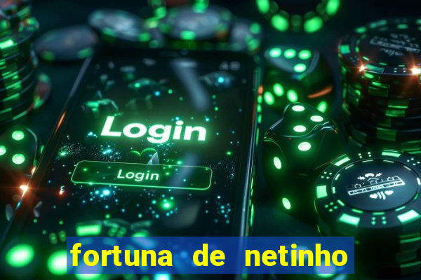 fortuna de netinho de paula