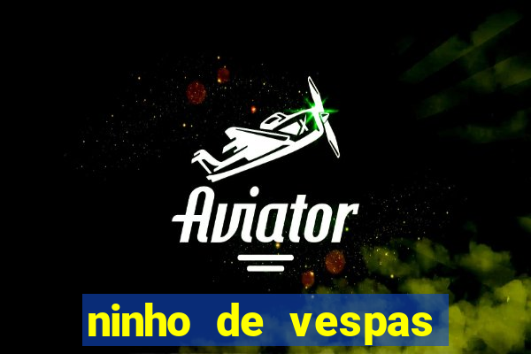 ninho de vespas significado espiritual