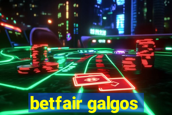 betfair galgos