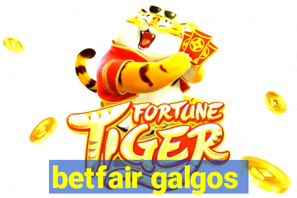 betfair galgos