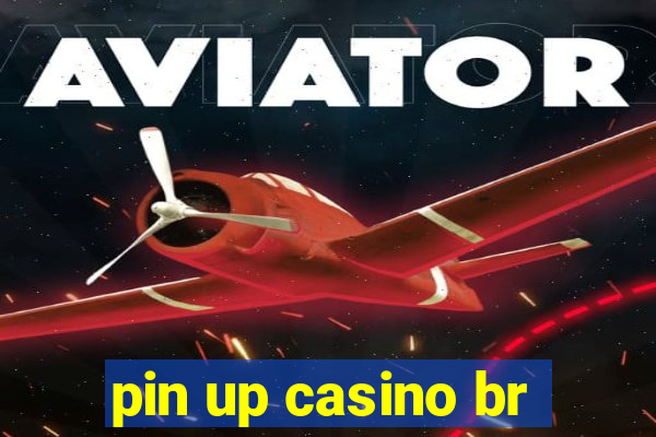 pin up casino br