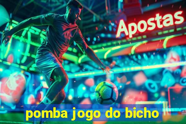 pomba jogo do bicho