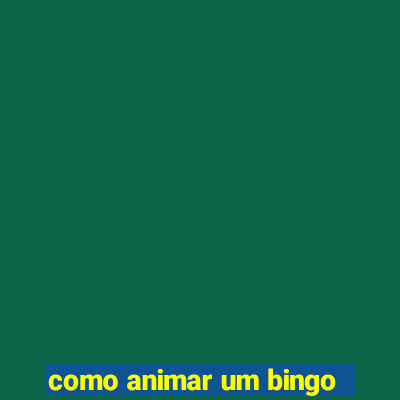 como animar um bingo