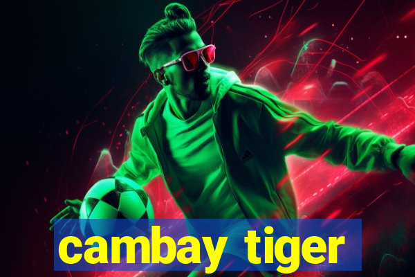 cambay tiger