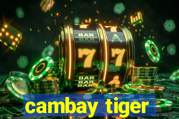 cambay tiger