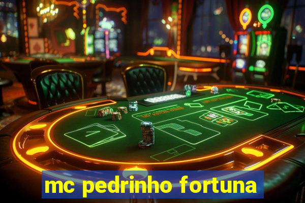 mc pedrinho fortuna