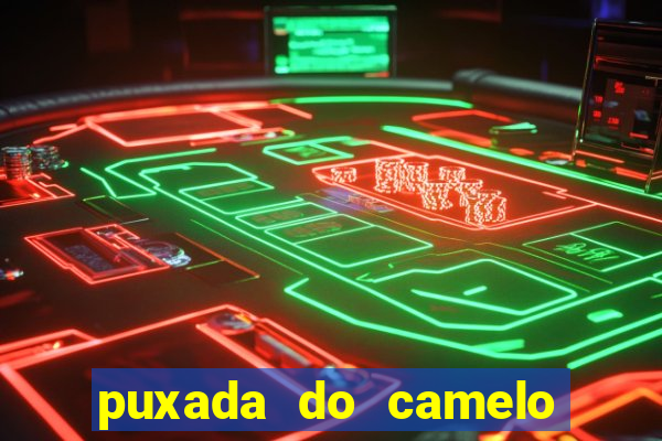 puxada do camelo jogo do bicho