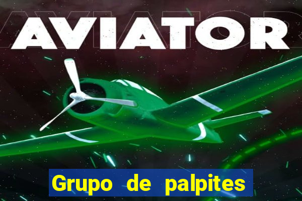 Grupo de palpites de futebol gratis