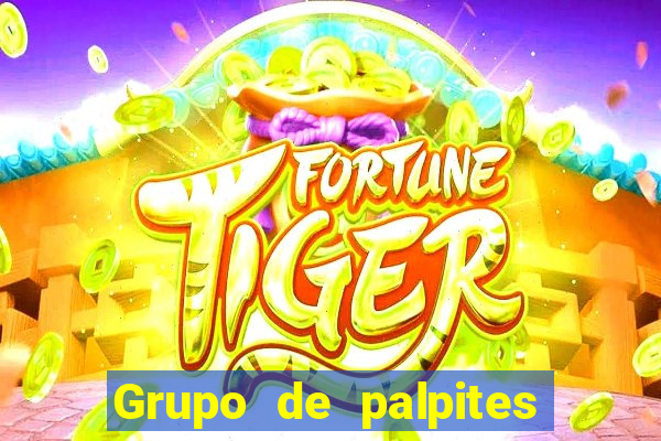 Grupo de palpites de futebol gratis