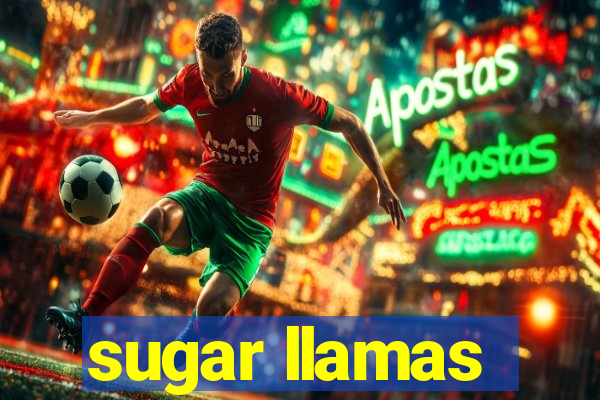 sugar llamas