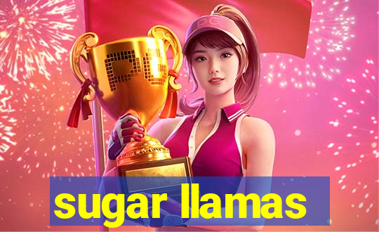 sugar llamas