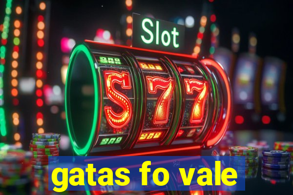 gatas fo vale