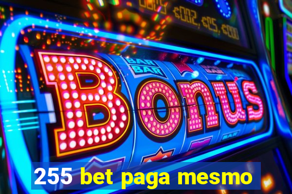 255 bet paga mesmo