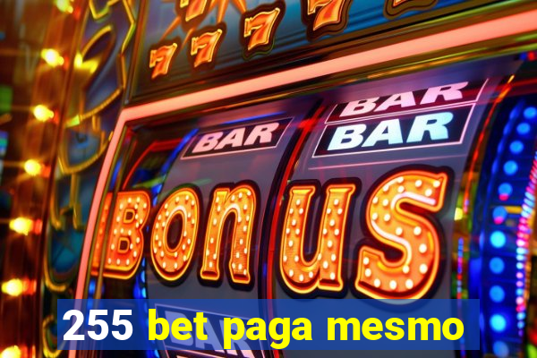 255 bet paga mesmo