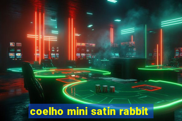 coelho mini satin rabbit