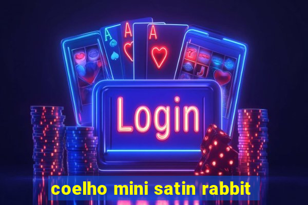 coelho mini satin rabbit