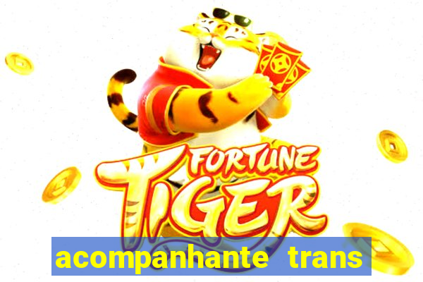 acompanhante trans de santos