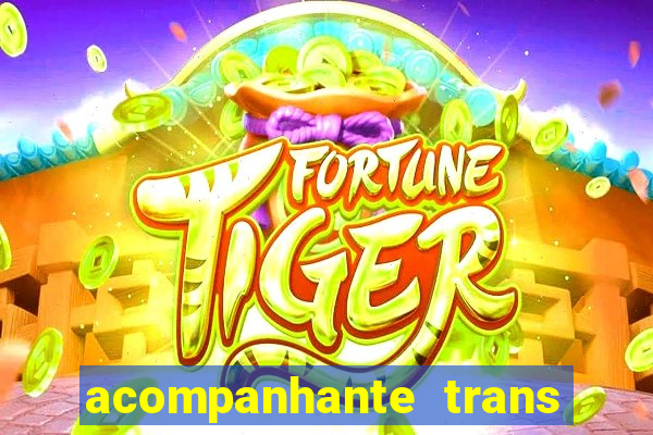 acompanhante trans de santos