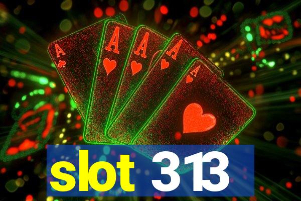 slot 313