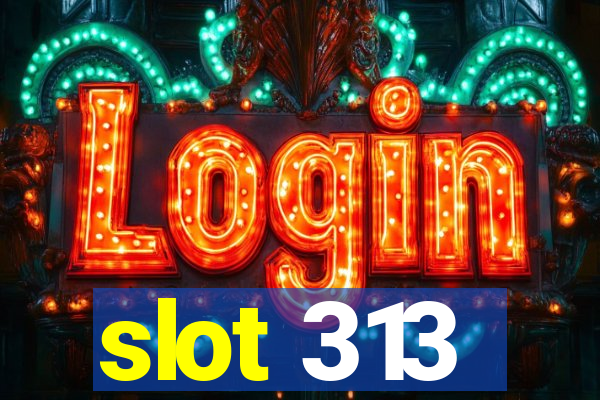 slot 313