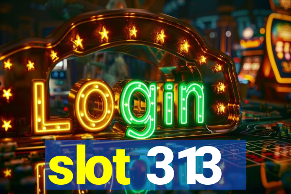 slot 313