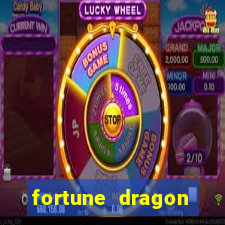 fortune dragon esporte da sorte