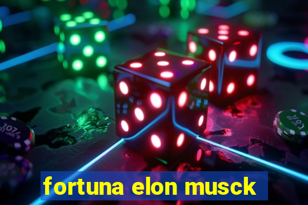 fortuna elon musck