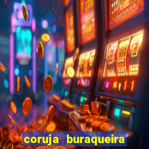 coruja buraqueira é perigosa